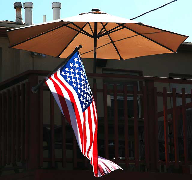 Flag and Beach Umbrella, Venice Beach