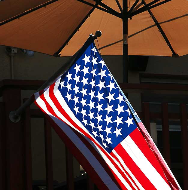 Flag and Beach Umbrella, Venice Beach