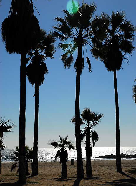 Venice Beach, Wednesday, February 10, 2010