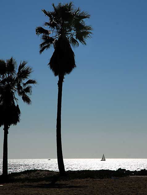 Venice Beach, Wednesday, February 10, 2010