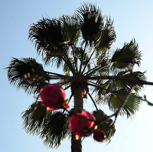 Crossroads of the World in Hollywood, Valentine's Day weekend, 2010