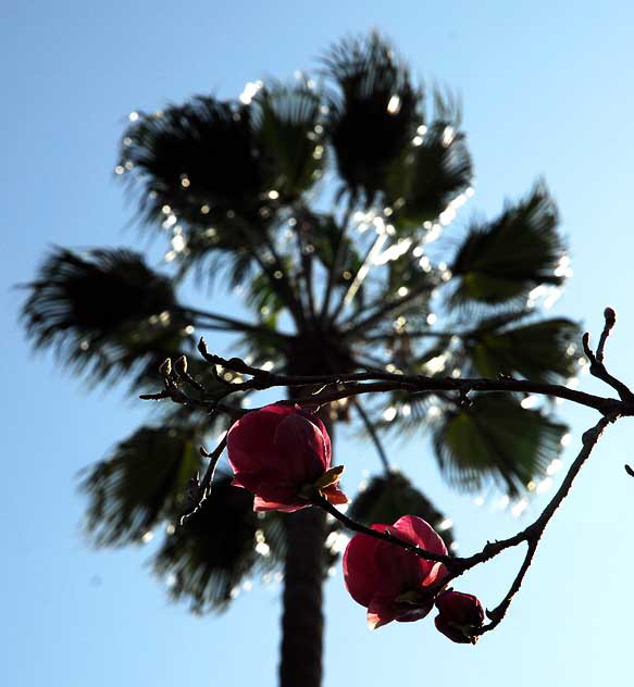 Crossroads of the World in Hollywood, Valentine's Day weekend, 2010