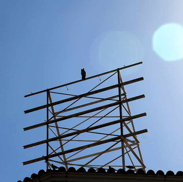 Sun Owl, Hollywood Roof