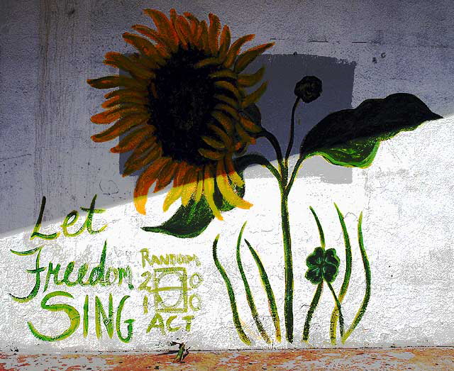 Sunflower, Hollywood Boulevard at the old Florentine Gardens