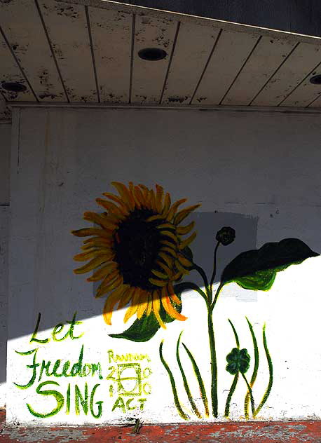 Sunflower, Hollywood Boulevard at the old Florentine Gardens