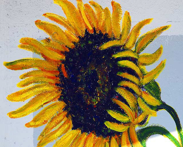 Sunflower, Hollywood Boulevard at the old Florentine Gardens