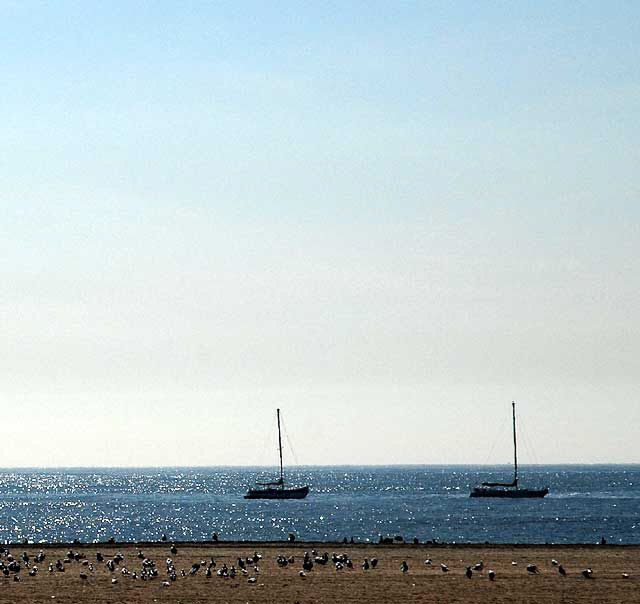 The beach at Playa Del Rey, Tuesday, February 16, 2010