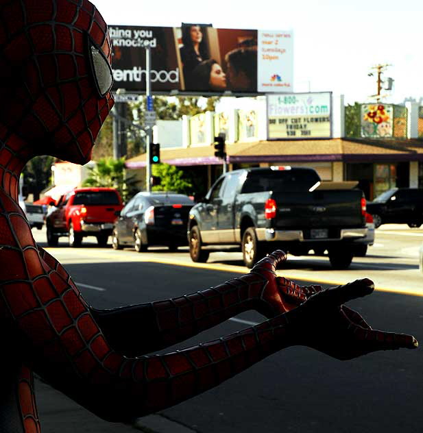 Golden Apple Vintage Comics on Melrose - Spiderman