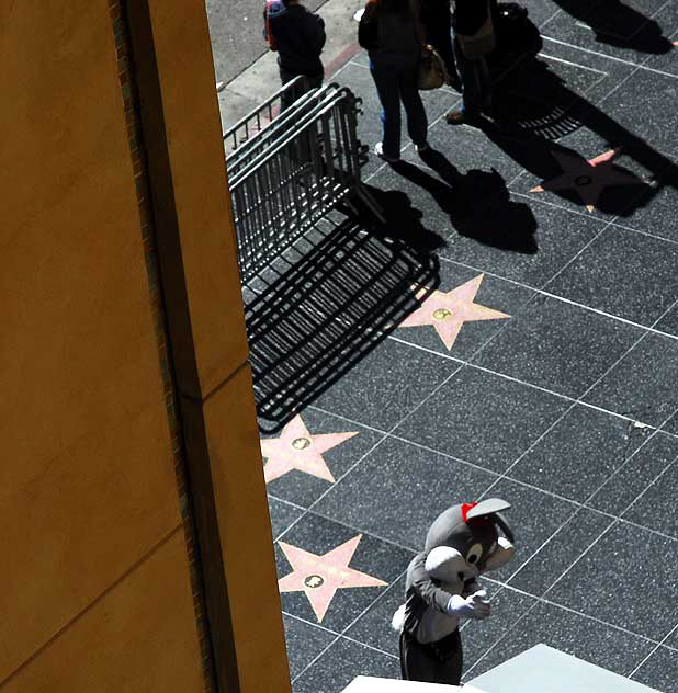 View from the roof of the Kodak Theater