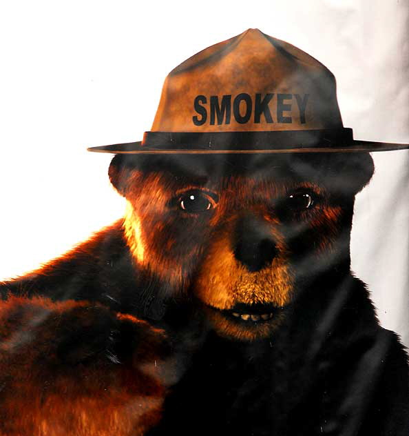 Smokey the Bear