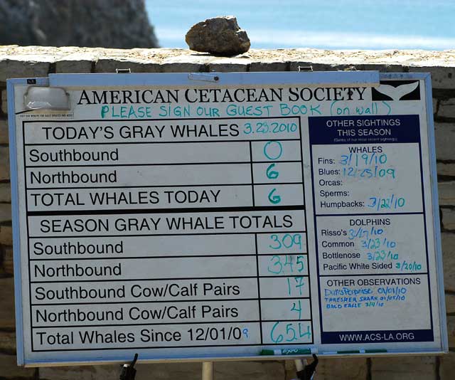 Whale Watching, Point Vicente Interpretative Center in Palos Verdes