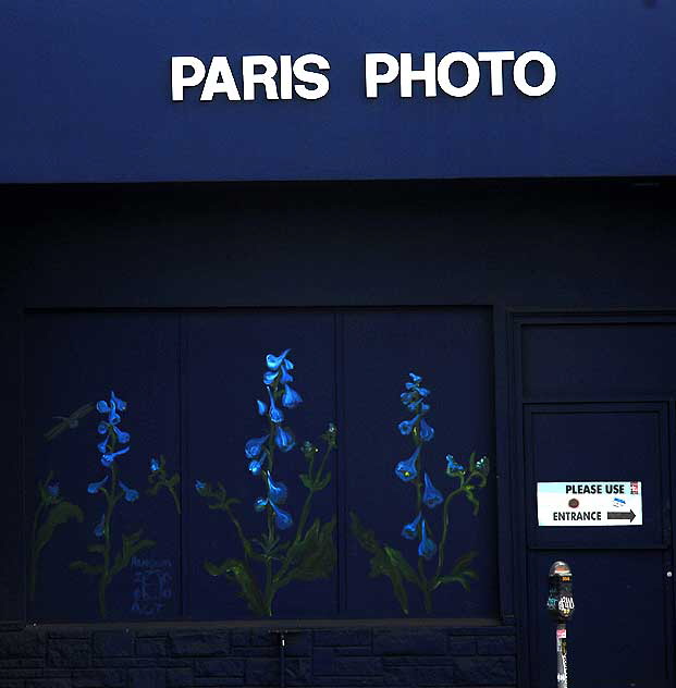 Paris Photo, Melrose Avenue at Edinburgh, west of Fairfax