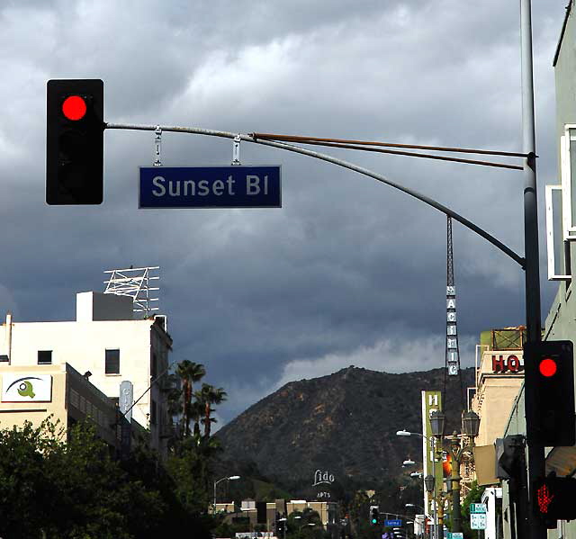 Wilcox and Sunset, Hollywood