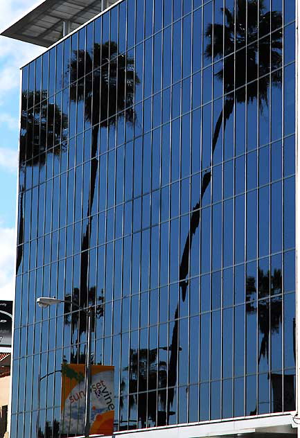 Glass and Palms, Sunset Boulevard, Hollywood