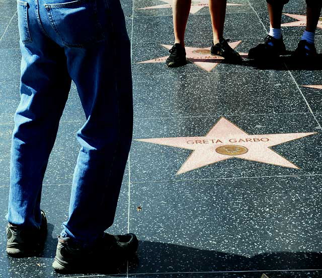 Photo shoot and interview on Hollywood Boulevard, Wednesday, March 10, 2010