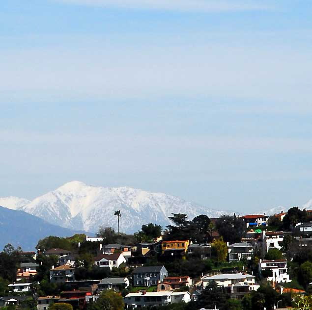 One Palm, Snow in the Mountains - the view from Olive Hill, now Barnsdall Park, Hollywood Boulevard at Vermont, Tuesday, March 16, 2010   