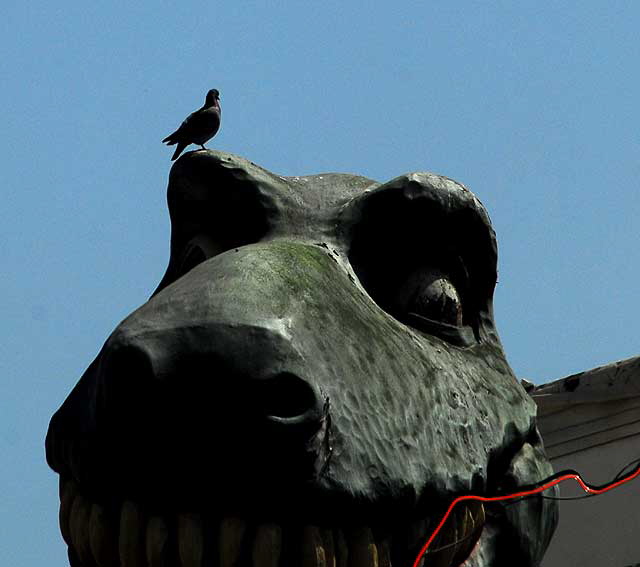 Dino, Red Neon and Pigeon, Hollywood Boulevard