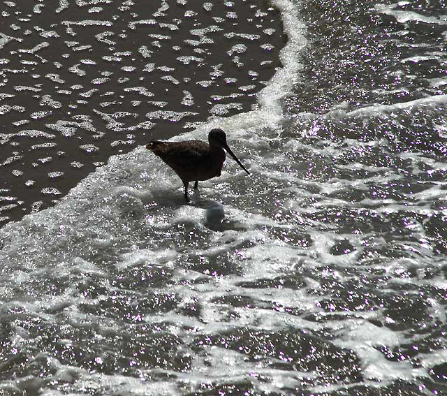 Sandpiper, Manhattan Beach