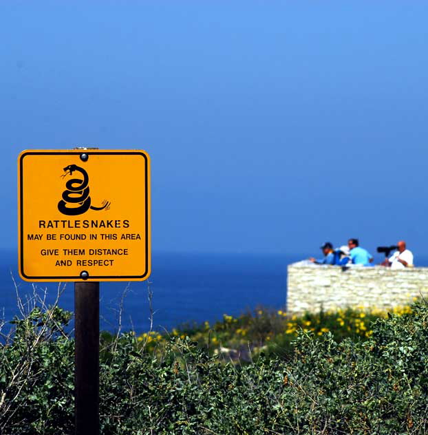 Whale Watching, Point Vicente Interpretative Center in Palos Verdes