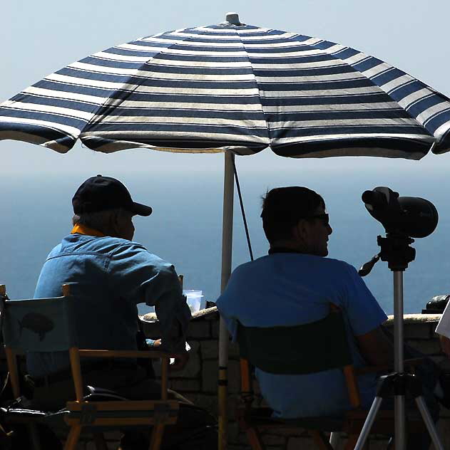 Whale Watching, Point Vicente Interpretative Center in Palos Verdes