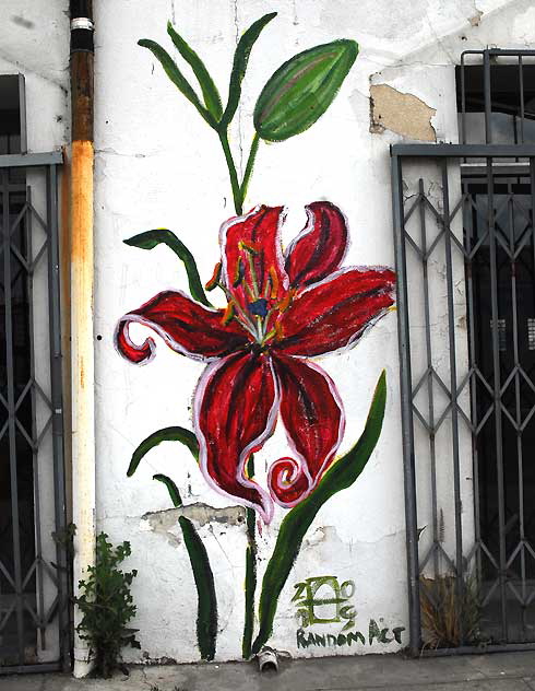 Random Act daylily at an abandoned art gallery, La Brea at Romaine, just south of Hollywood