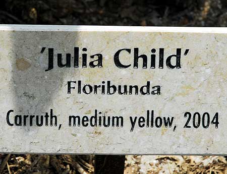 Rose: Julia Child - Beverly Gardens Park, Beverly Hills, noon, Saturday, April 3, 2010