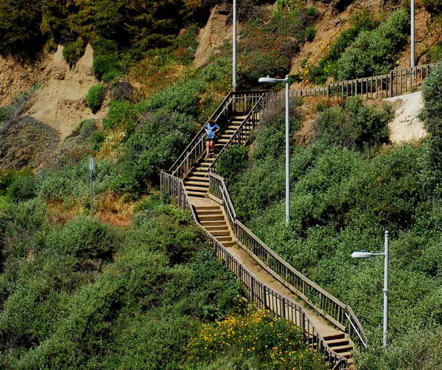 Stairs to the sea, from Palisades Park on Ocean Avenue in Santa Monica down the cliffs and across Pacific Coast Highway to the sand…