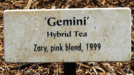 Rose: Gemini - Beverly Gardens Park, Beverly Hills, noon, Saturday, April 3, 2010