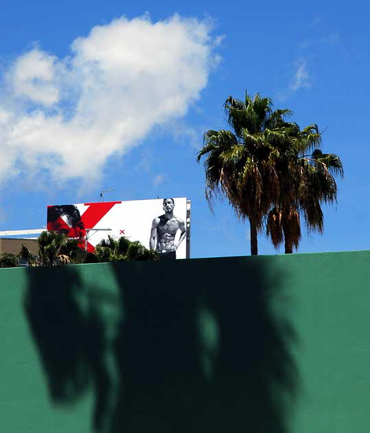 Hollywood Billboard