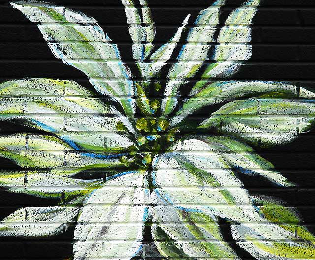 Random Act white flower on black brick wall, North La Brea Avenue, Hollywood