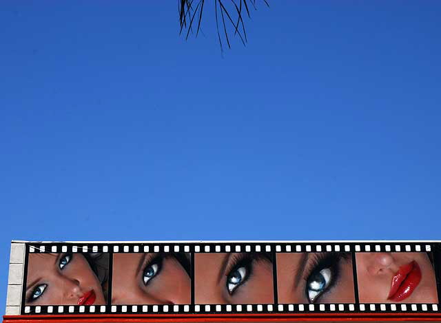 Eye Wall, Melrose Avenue, Hollywood