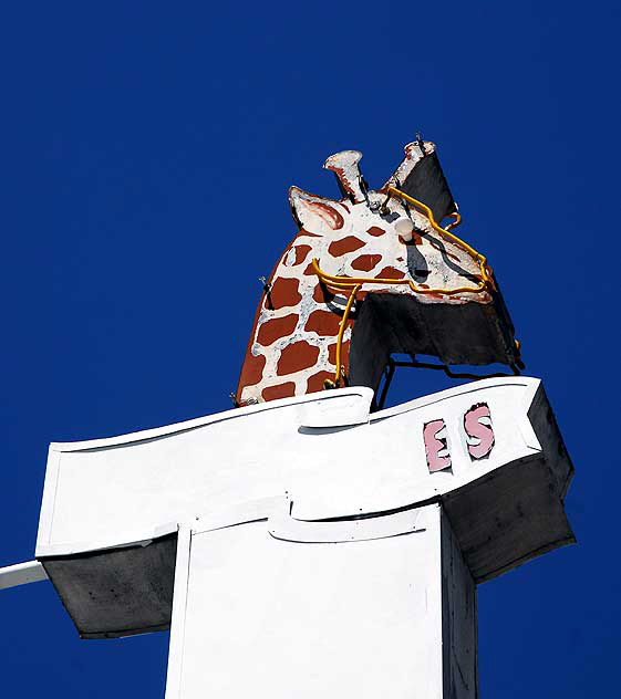 Giraffe on Temple Street near Echo Park