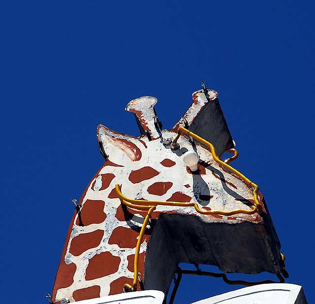 Giraffe on Temple Street near Echo Park
