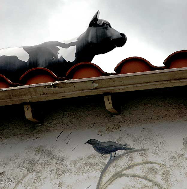 Plastic cow on the roof of a real estate office on the Sunset Strip