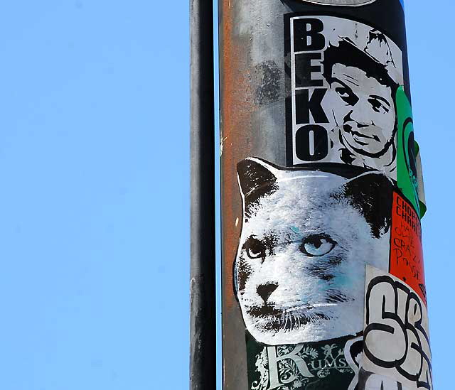 Cat striker, Vine Street, Hollywood