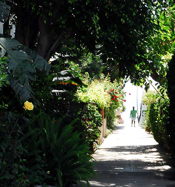 Seaview Terrace, Santa Monica