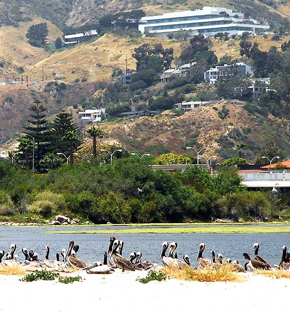 At the Malibu Lagoon, Wednesday, June 9, 2010