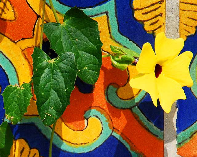 Flower on tile wall at Cheebo's on Sunset Boulevard and Sierra Bonita, Hollywood 