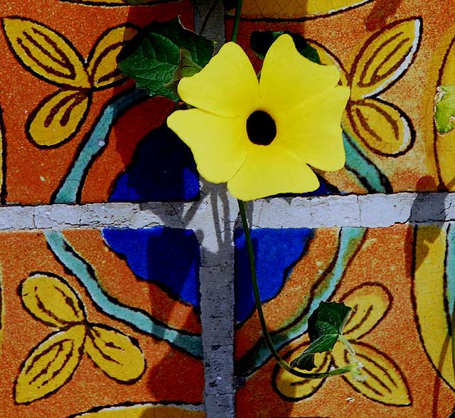 Flower on tile wall at Cheebo's on Sunset Boulevard and Sierra Bonita, Hollywood 