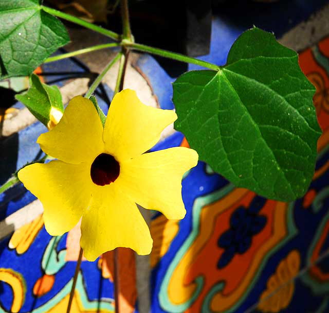 Flower on tile wall at Cheebo's on Sunset Boulevard and Sierra Bonita, Hollywood 