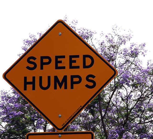 Speed Humps
