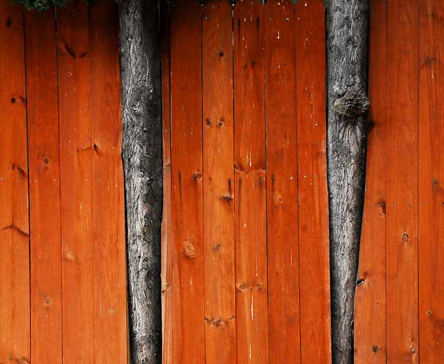 Cedar wall, alley behind Melrose Avenue