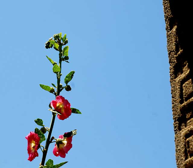 At Hollyhock House, 1921, Frank Lloyd Wright - Hollywood, California 