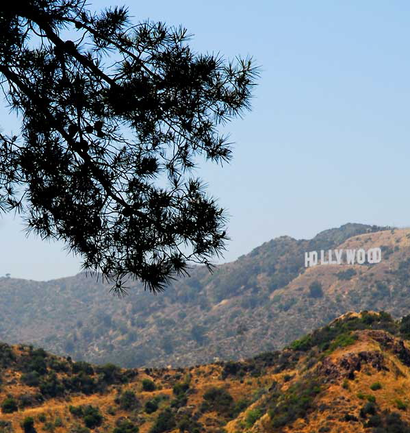 The Hollywood Sign