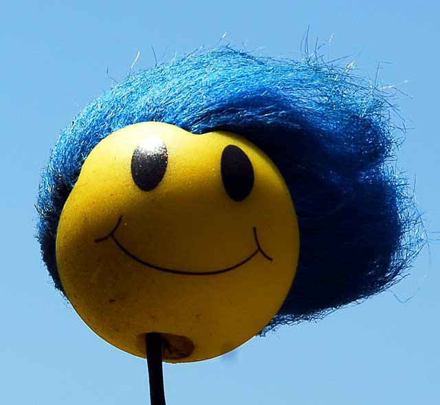 Smiley Face, Blue Hair