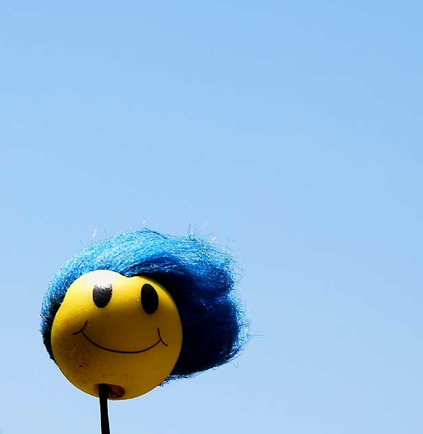 Smiley Face, Blue Hair