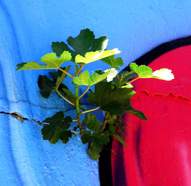 Detail of the "Chance" Yellow Submarine mural on the west side of Echo Park Lake