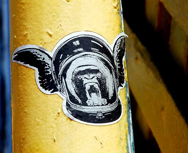 Space-Monkey Sticker 