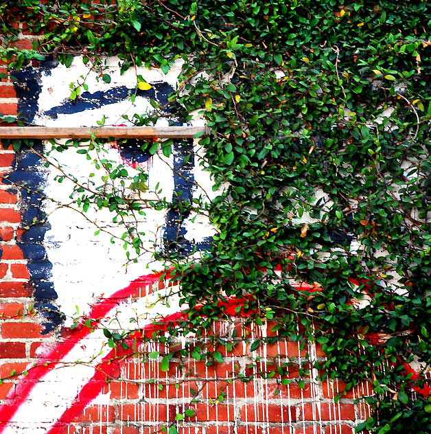 Face, Ivy Wall