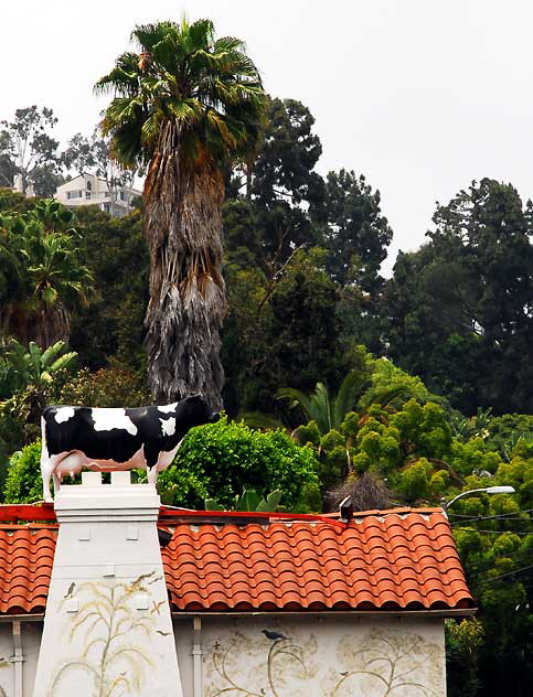 Antique shop with fake cow on roof, Sunset Boulevard, West Hollywood